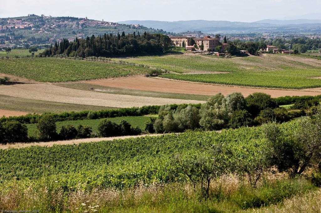 Tenuta Di Petriolo Guest House Torrita di Siena Exterior photo